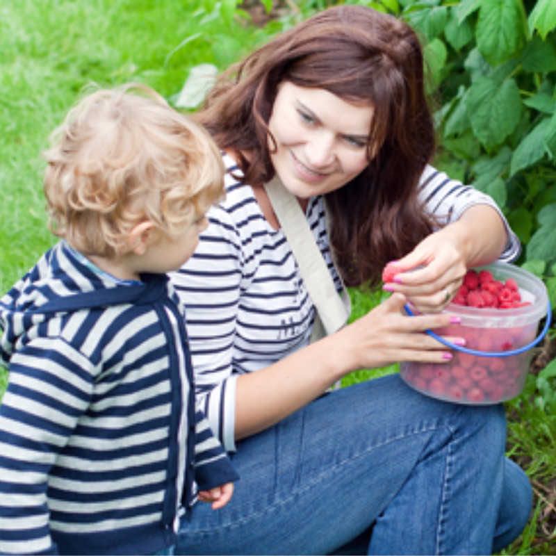 benefits-of-locally-grown-produce-superkids-nutrition