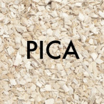 Understanding Pica in Kids and Toddlers: Causes, Symptoms, and Treatment