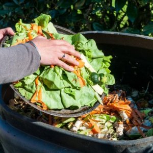 https://www.superkidsnutrition.com/wp-content/uploads/2014/12/composter-food-waste-HP.jpg-300x300.jpg
